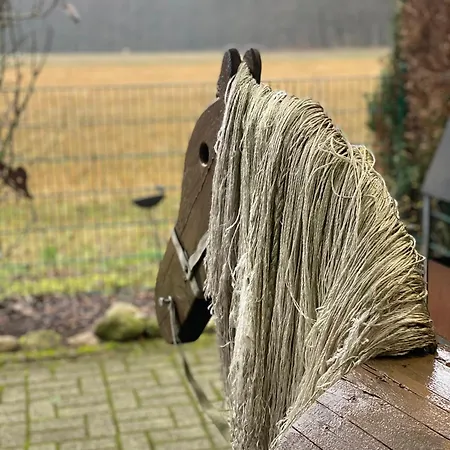 Schoene Auszeit Re14 * Sogel