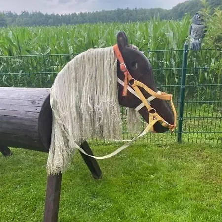 Schoene Auszeit Re14 別荘 Sögel