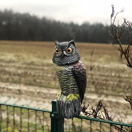 Schoene Auszeit Re14 *