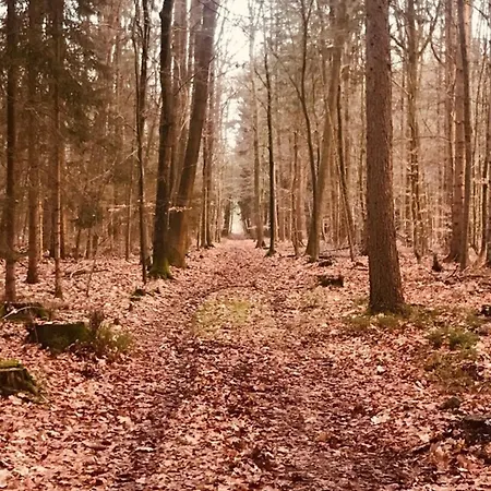 Prázdninový dům Schoene Auszeit Re14 *